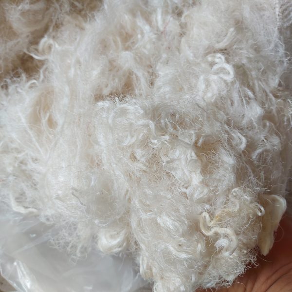 Mulberry Throwster Silk Fiber-Bleach White